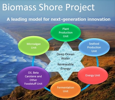 Küstenwüsten sind reich an erneuerbarer Energie. Biomassekomplexitäten werden petrochemische Komplexe ersetzen, um sich der Herausforderung zu stellen, eine nachhaltige Gesellschaft zu schaffen. Collage von der Autorin.