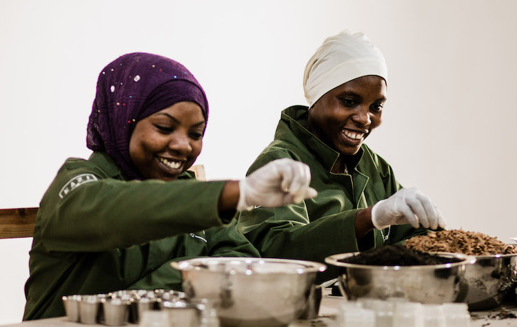 Photo: Women assembling tea. Credit: Kizito Makoye.
