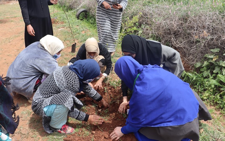 Photo: Women planting an olive tree in the Marrakech-Safi region of Morocco (High Atlas Foundation, 2021)