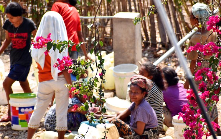 Photo: Women travel long distances to get water in a single pump in Batugade, Bobonaro, Timor Leste. Credit: Annamarie Reyes
