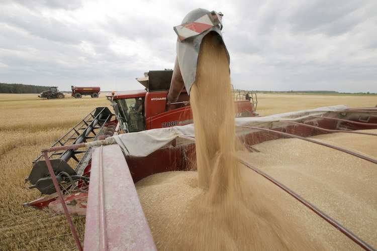 Photo: Africa braces for food price inflation as Russia-Ukraine war continues. Anatolii STEPANOV / FAO/AFP