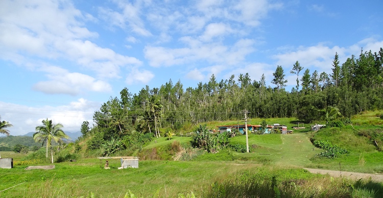 Photo: Farmer House—Indo-Fijian cane farmer's house (on top) and abandoned house and property (in foreground) after the expiry of the land lease.
