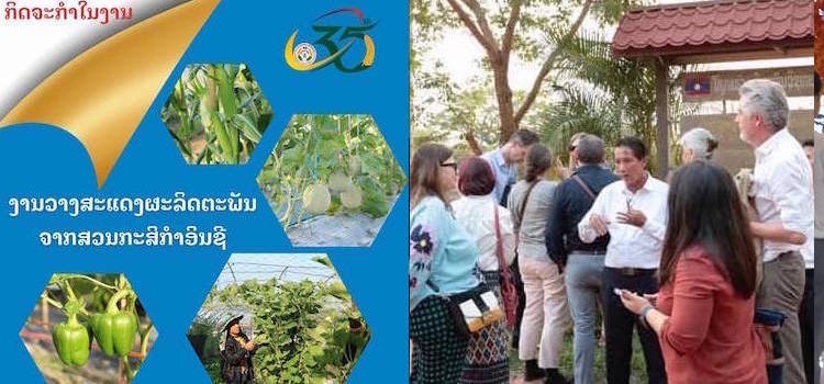 Collage with pictures of products of SEP (left) and EU visitors with Chittakone Sisanonh, Director of Dongkhamxang Agriculture Technical College (right). Credit: Dongkhamxang Agriculture Technical College.